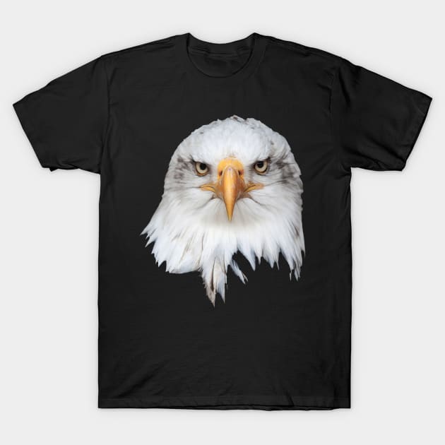 Bald Eagle. White head frontal portrait T-Shirt by funfun